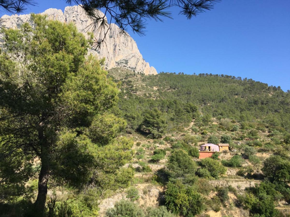 ホテル La Yurta Naranja フィネストラット エクステリア 写真